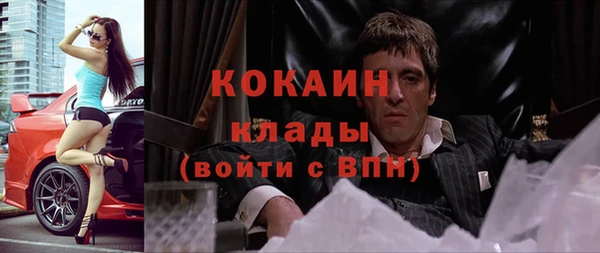 спиды Горняк