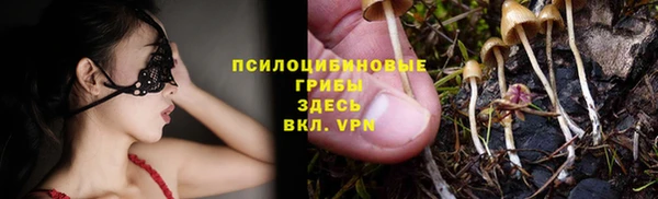 спиды Горняк