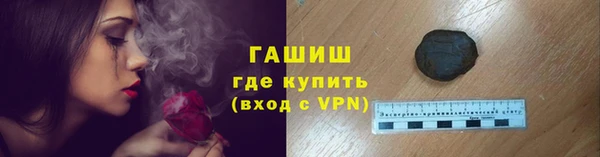 спиды Горняк