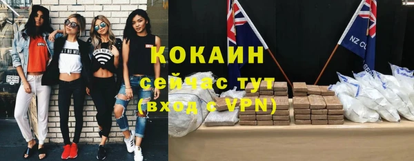 спиды Горняк